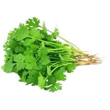Coriander Leaf